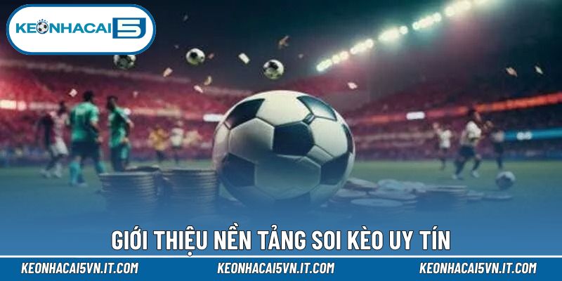 Giới thiệu thiên đường soi kèo uy tín