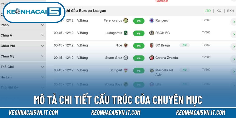 Mô tả chi tiết cấu trúc của chuyên mục