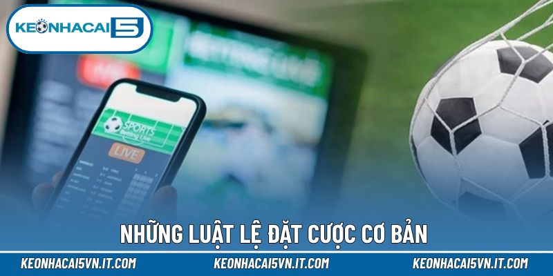 Những nguyên tắc hội viên cần biết