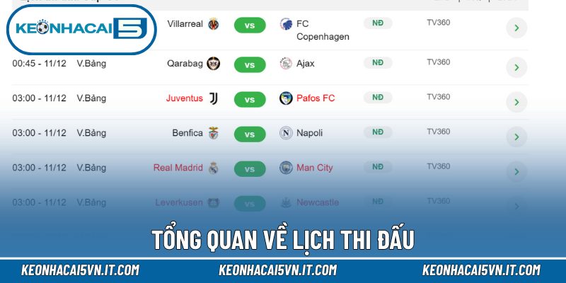 Tổng quan về lịch thi đấu