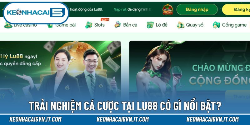 Khám phá trải nghiệm cá cược tại nền tảng
