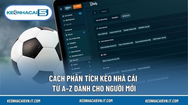 Cách Phân Tích Kèo Nhà Cái Từ A–Z Dành Cho Người Mới 1 Cách Phân Tích Kèo Nhà Cái
