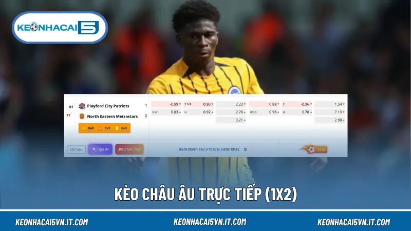 Kèo châu Âu trực tiếp phản ánh xác suất thắng, hòa, thua theo thời gian thực