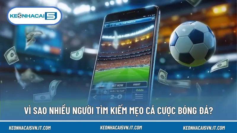 Mẹo cá cược bóng đá giúp có thêm góc nhìn khi phân tích trận đấu và đánh giá các yếu tố liên quan